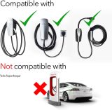 Lectron Bundle - V-Box 48 Amp Electric Vehicle Charging Station & Black Tesla to J1772 Charging Adapter, Max 48 Amp & 250V