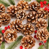24PCS Natural Pine Cones Christmas Rustic Pine Cones Bulk Ornaments with String for Xmas Thanksgiving Fall Party Craft Decorations