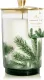Thymes Frasier Fir Candle - Heritage Pine Needle Luminary Scented Candles - Elegant Pine Candle - Crisp Siberian Fir, Cedarwood & Sandalwood - Holiday Candles - Christmas Decor (Large, 16 oz)