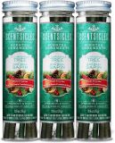 Scentsicles O Christmas Tree Scented Christmas Ornaments with Hooks - 3 Bottles (18 Sticks Total)