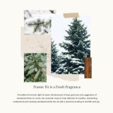 Thymes Frasier Fir Candle - Heritage Pine Needle Luminary Scented Candles - Elegant Pine Candle - Crisp Siberian Fir, Cedarwood & Sandalwood - Holiday Candles - Christmas Decor (Large, 16 oz)