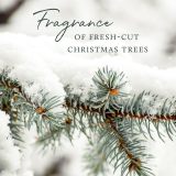 Thymes Frasier Fir Candle - Heritage Pine Needle Luminary Scented Candles - Elegant Pine Candle - Crisp Siberian Fir, Cedarwood & Sandalwood - Holiday Candles - Christmas Decor (Large, 16 oz)