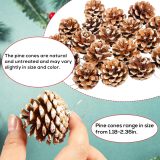 24PCS Natural Pine Cones Christmas Rustic Pine Cones Bulk Ornaments with String for Xmas Thanksgiving Fall Party Craft Decorations