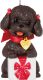 Hallmark Keepsake Christmas Ornament 2024, Puppy Love Poodle 2024, Gifts for Animal Lovers