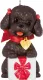 Hallmark Keepsake Christmas Ornament 2024, Puppy Love Poodle 2024, Gifts for Animal Lovers