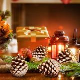 24PCS Natural Pine Cones Christmas Rustic Pine Cones Bulk Ornaments with String for Xmas Thanksgiving Fall Party Craft Decorations