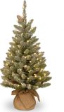 National Tree Company Pre-lit Artificial Mini Christmas Tree | Includes Small White LED Lights and Cloth Bag Base | Snowy Concolor Fir Burlap - 3 ft, Brown/Green