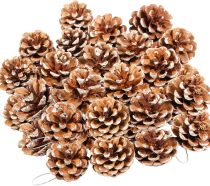 24PCS Natural Pine Cones Christmas Rustic Pine Cones Bulk Ornaments with String for Xmas Thanksgiving Fall Party Craft Decorations