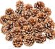 24PCS Natural Pine Cones Christmas Rustic Pine Cones Bulk Ornaments with String for Xmas Thanksgiving Fall Party Craft Decorations