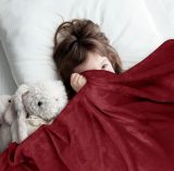 Bedding Fleece Blanket King Size Burgundy 300GSM Luxury Bed Blanket Anti-Static Fuzzy Soft Blanket Microfiber (90x102 Inches)