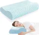 Neck Pillow for Sleeping, Ergonomic Cervical Neck Pillow for Neck Pain Relief, Memory Foam Pillow fit Neck Contour, Bed Pillow for Side Back Stomach Sleepers (Blue, Standard Size)