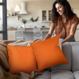 Bedding Throw Pillows Insert (Pack of 2, Orange) - 18 x 18 Inches Bed and Couch Pillows - Indoor Decorative Pillows