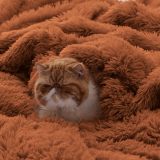 Faux Fur King Size Blanket Burnt Orange – Fuzzy, Fluffy, and Shaggy Faux Fur, Soft and Thick Sherpa, Cozy Warm Decorative Gift, King Blanket for Bed, 108x90 Inches, 640 GSM