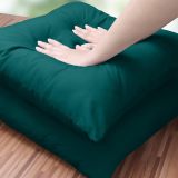 Bedding Throw Pillows Insert (Pack of 2, Dark Teal) - 18 x 18 Inches Bed and Couch Pillows - Indoor Decorative Pillows