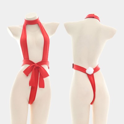 Lace Up One-Piece Hollow Out Halter Lingerie