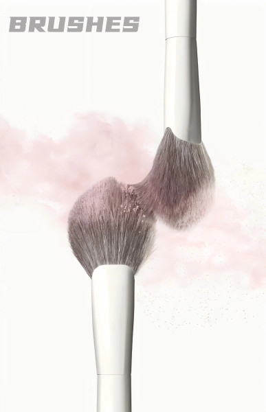 BRUSHES