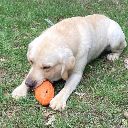 Football-Shaped Dog Chew Toy Hidden Treats Interactive Toy