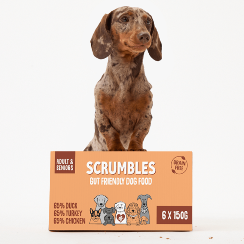 Free Wet Dog Food For Subscribers