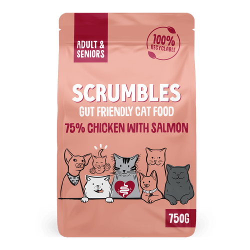 Chicken & Salmon Dry Cat Food