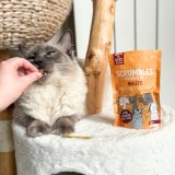 Chicken Niblets: Cat Stick Treats