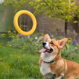 Durable EVA Floating Chew Ring Frisbee Dog Toy