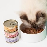 Meat And Fish Selection in Jelly Wet Cat Food