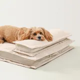 Anti-Anxiety with Sponge Support Deep Sleeping Dog Bed