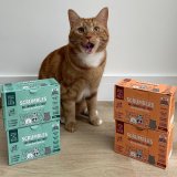 Free Wet Cat Food For Subscribers
