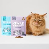 Free Cat Treats For Subscribers