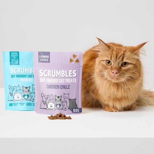 Free Cat Treats For Subscribers