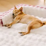 Classic Plaid Ergonomic Calming Dog Bed - Expandable＆Washable