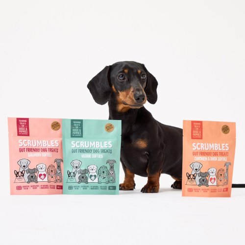 Free Dog Treats For Subscribers