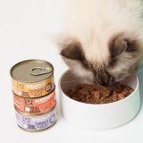 Meat Selection in Jelly Wet Cat Food