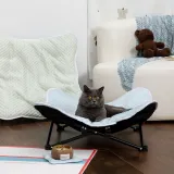 Cooling Breathable Portable Foldable Elevated Dog Bed