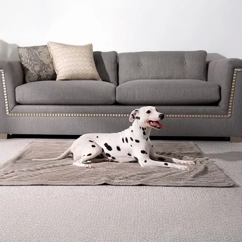 Striped Water-Resistant All-Season Warm Pet Blanket for Multi-Use