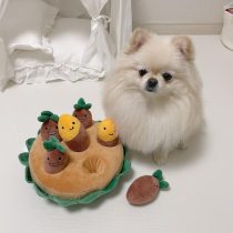 Sweet Potato Pull and Sniff Interactive Dog Puzzle Toy Set