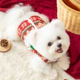 Festive Bear Knit Dog Sweater – Cozy and Perfect for the Holidays