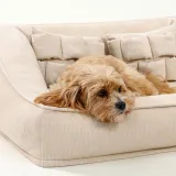 Comfort Orthopedic Support Dog Sofa Bed with Pillows