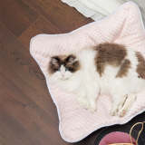 Cooling Breathable Portable Foldable Elevated Dog Bed