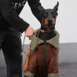 Vintage Aviator Dog Jacket with Shearling Lining - Warm and Stylish