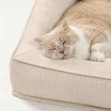 Comfort Orthopedic Support Dog Sofa Bed with Pillows