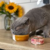 Classic Selection Pâté Cat Food in Tins