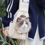 All-Season Ventilated and Lightweight Dog & Cat Carrier Bag