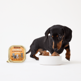 Sensitive Chicken Wet Dog Food (150g)