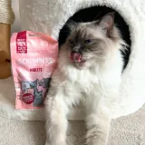 Salmon Niblets: Cat Treat Sticks