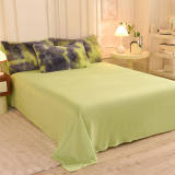 Gradient Fashion Long Plush Warm Bed Sheet Set