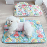 Fruit Print Cooling Ice Silk Dog & Cat Mat with Pillow