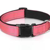 Adjustable Reflective Safety Nylon Dog Collar