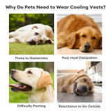 Lightweight Evaporative Dog Breathable Cooling Vest