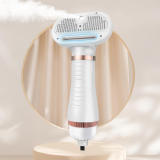 Multifunctional Combing Brush Pet Hair Dryer with Steam